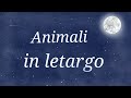 Il Letargo