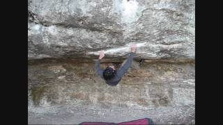 Roger's Park - Some Classic Lines