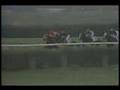 With Approval Breeders Stakes 1989 - Triple Crown Winner