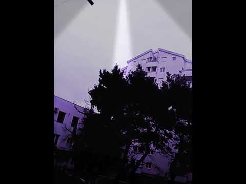 Novosadska stka 2000