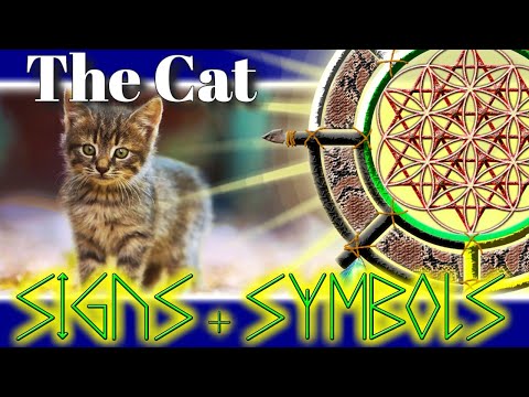 What does the Cat mean?  |  Spirit Animal  |  Totem