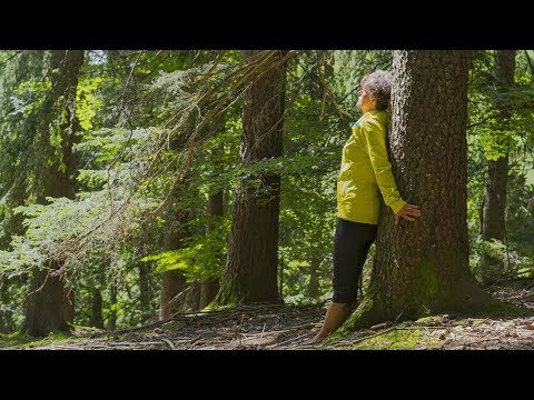 Stories from South Tyrol | "Hello, Tree!"