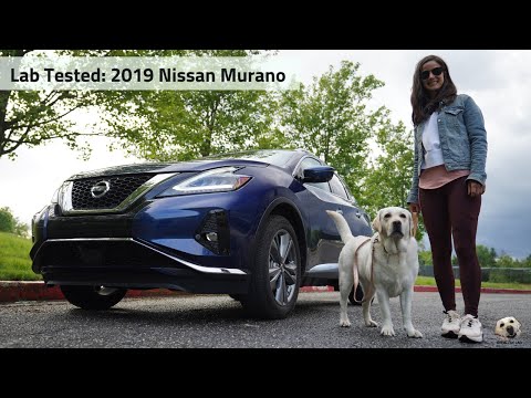 2019 Nissan Murano Platinum AWD: Andie the Lab Review! Video