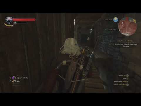 Another Witcher 3 HIDDEN loot location many will miss! Skellige The Witcher 3: Wild Hunt