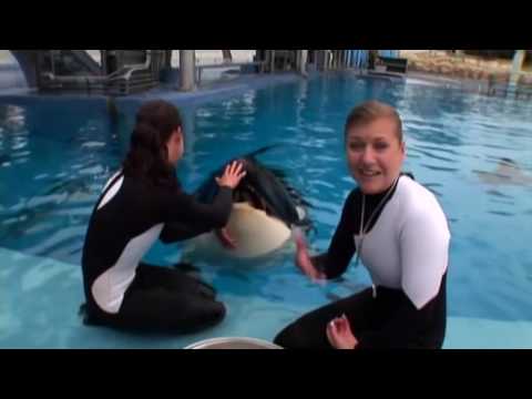 Behind The Scenes of Believe