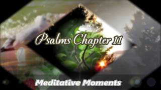 A Meditative Moment -  Psalms Chapter 11 -  Music A Home In The Meadow by The Waterboys