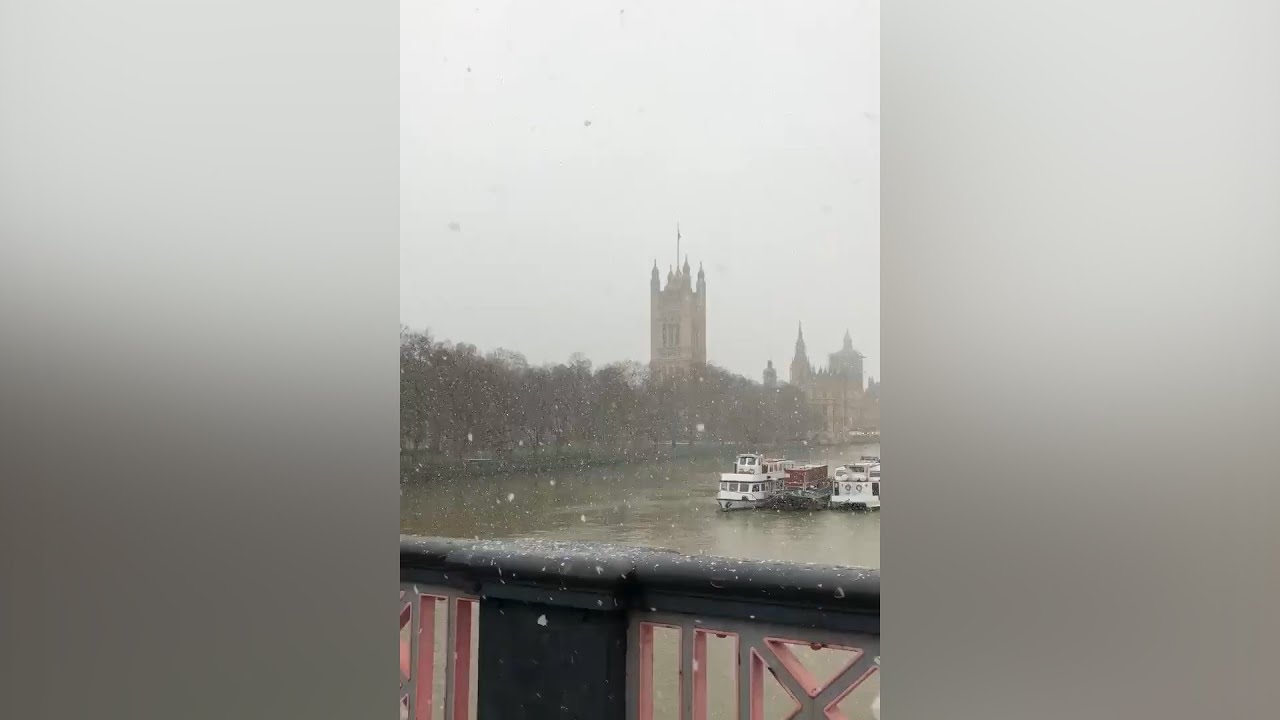 youtube video id=-gl1ETRBI68