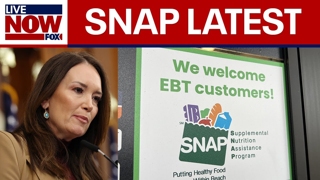 SNAP recipients need to reapply for benefits, Sec. Rollins says