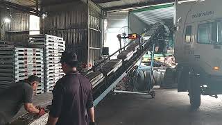 MV CT384- EGHU3940742