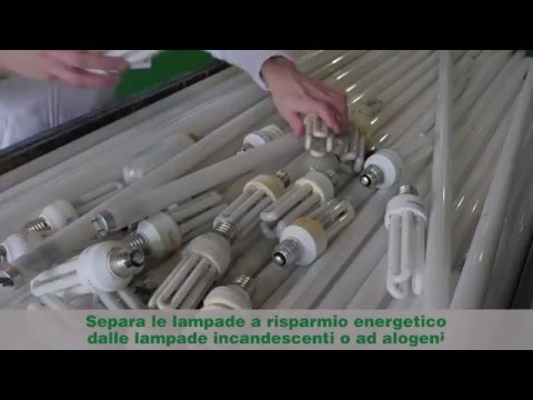 Plafoniere Neon Usate : Ecolamp consorzio recupero e smaltimento rifiuti illuminazione