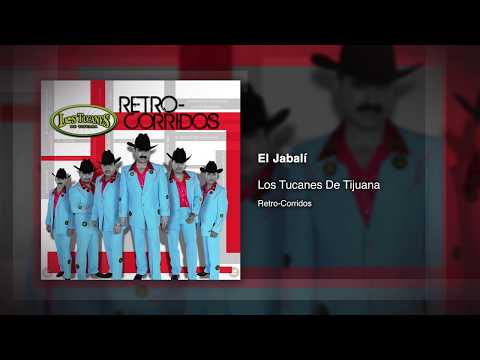El Jabalí - Los Tucanes De Tijuana [Audio Oficial]