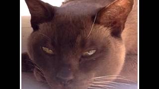 Flipagram - Happy birthday Jack