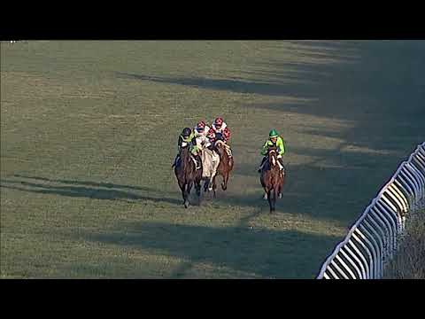 Napoli Galoppo 14/02/2023 - 6ª corsa