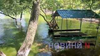 В воде на Намыве полно мусора – купаться не стоит (фото, видео)