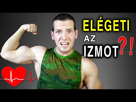 Hogyan lehet testzsírt égetni hiit