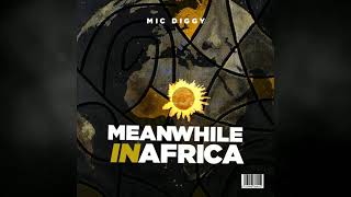 Mic Diggy - Follow Thru [Official Audio]