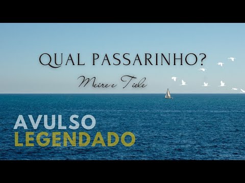 QUAL PASSARINHO? - Hino Avulso | Meire e Tiele