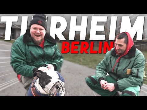 Kalle's Ausbildung als Tierpfleger | Kalle in Gefahr