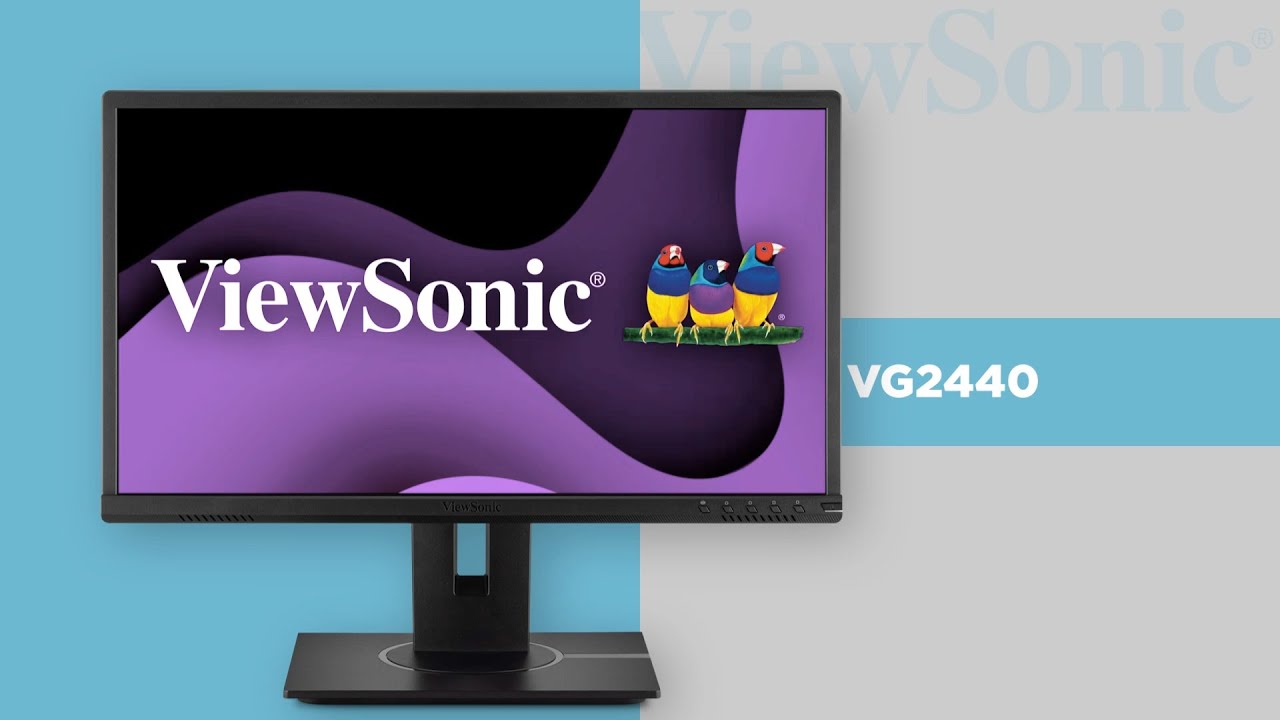 VG2440 24" Ergonomic Monitor