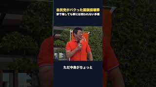 自民党がパクった国旗損壊罪、家で壊しても罪にならない矛盾【参政党・神谷宗幣】