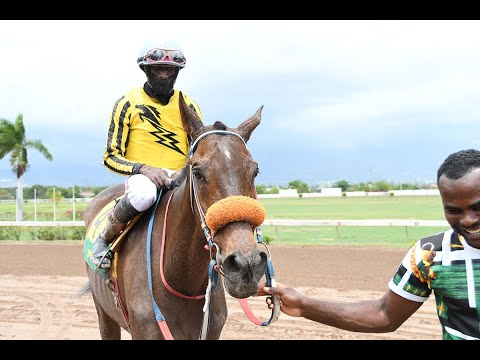 JAMAICA RACING: General Mubaraak Upsets At 15-1, Sat, Jan 1, 2022, 7th
