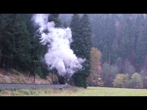 zu Besuch im Preßnitztal 01.11.2020