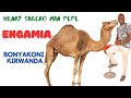 ENGAMIA EGACHANDWA