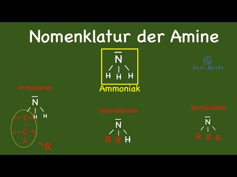 Amine - Nomenklatur