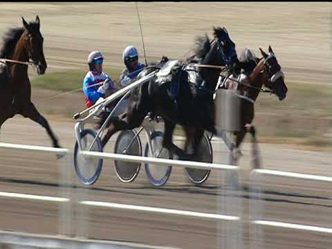 Trotto 30/04/2019 - 5ª corsa - Speed Race - Finale