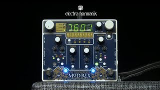 Video thumbnail for Electro Harmonix Mod Rex Poly-Rhythmic Modulator | Gear4music demo by Gear4music Guitars