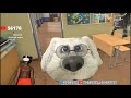 IShowSpeed S 1st Day At School Playing VR Chat With ICEE VR Benjamin Herbert VR And More