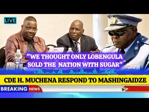 ZIM ONE YouTube channel logo and video content