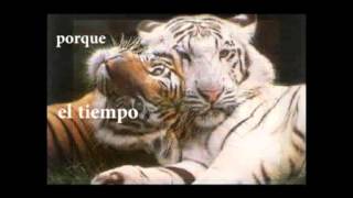 Ole Jarabe de Palo lyrics