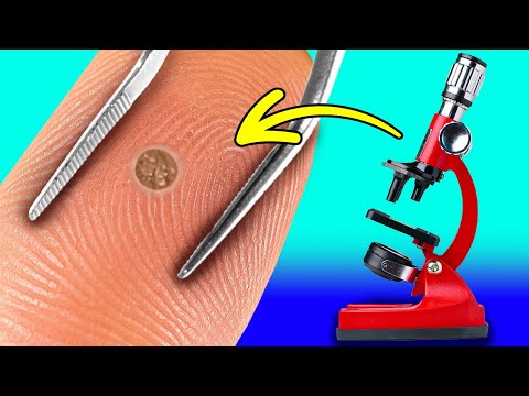 Amazing Microscopic World! Common Objects Under The Microscope || HOME EXPERIMENTS