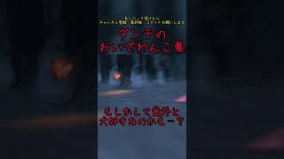 ダンテのおいでわんこ集　#devilmaycry #ダンテ #わんこ #おいで #犬好き　#shorts