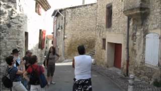 preview picture of video 'visite-vieux-village.flv'