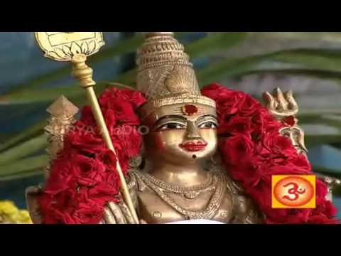 Paasi Padarndha Malai | பாசி படர்ந்த மலை | #tamil #murugansong #devotionalsongs #murugandevotional