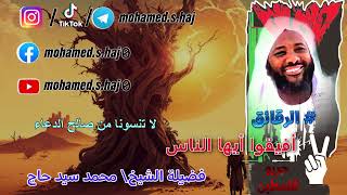 صورة الرقائق