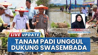 Dukung Produksi Swasembada Pangan Sultra, Unilaki Tanam Padi Varietas Unggul di Lahan Kampus
