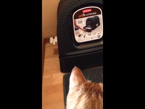Туалет-домик для котов Curver Cat Litter Box 00615 закрытый с дверцей и фильтром кремовый - фото 1 - id-p66918802