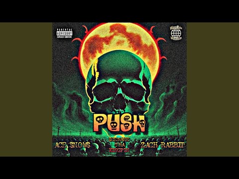 PUSH (feat. ICEMANE THA KINGPIN & Zach rabbit)