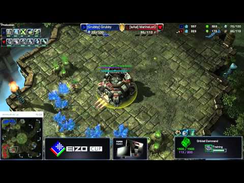 #255 MarineLord(T) vs. Grubby(P) - EIZO Cup StarCraft II Heart of the Swarm Video