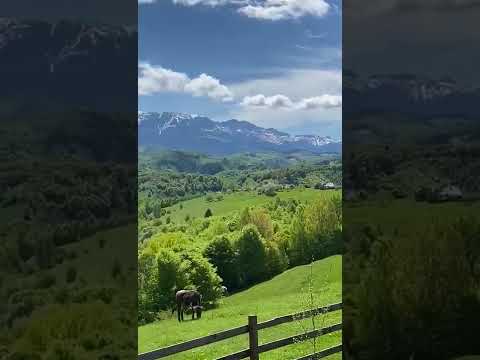 în inima munțiilor Satul Peștera - Pensiunea Casa Ema