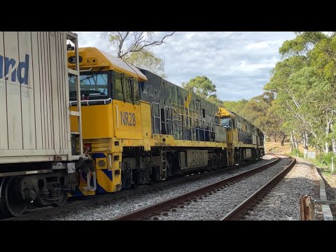 NR113 + NR37 + NR28 on 6MP5 at Stirling St