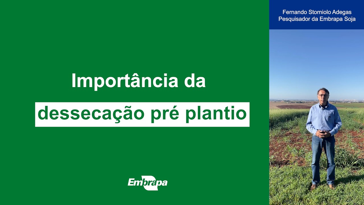 Importância da dessecação no pré plantio