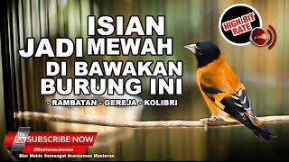 Download lagu 🔴 Red Siskin Gacor Ngeroll Isian Gereja Kolibri Rambatan Kenari ❗️Canto Pintassilgo Venezuelano mp3