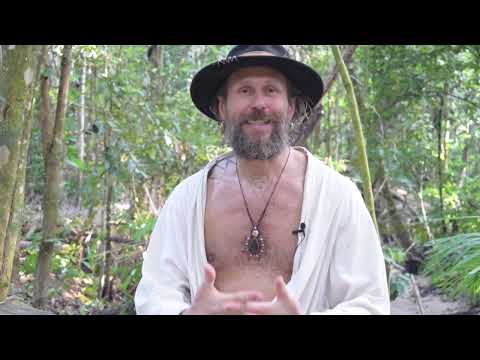 Linas Karalius - apie Chuchuhuasi augalą (Koshi Rao)