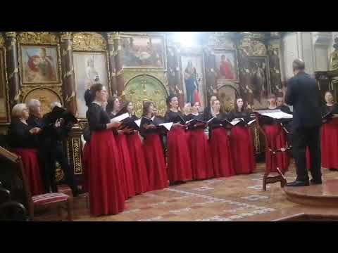 Dostojno jest, Kornelije Stanković