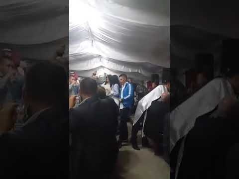 Aleksandar Pacavra - Dva galeba i verige