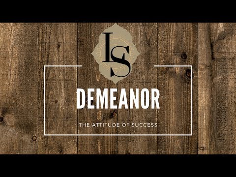 Demeanor: The professional attitude that will boost your career progress